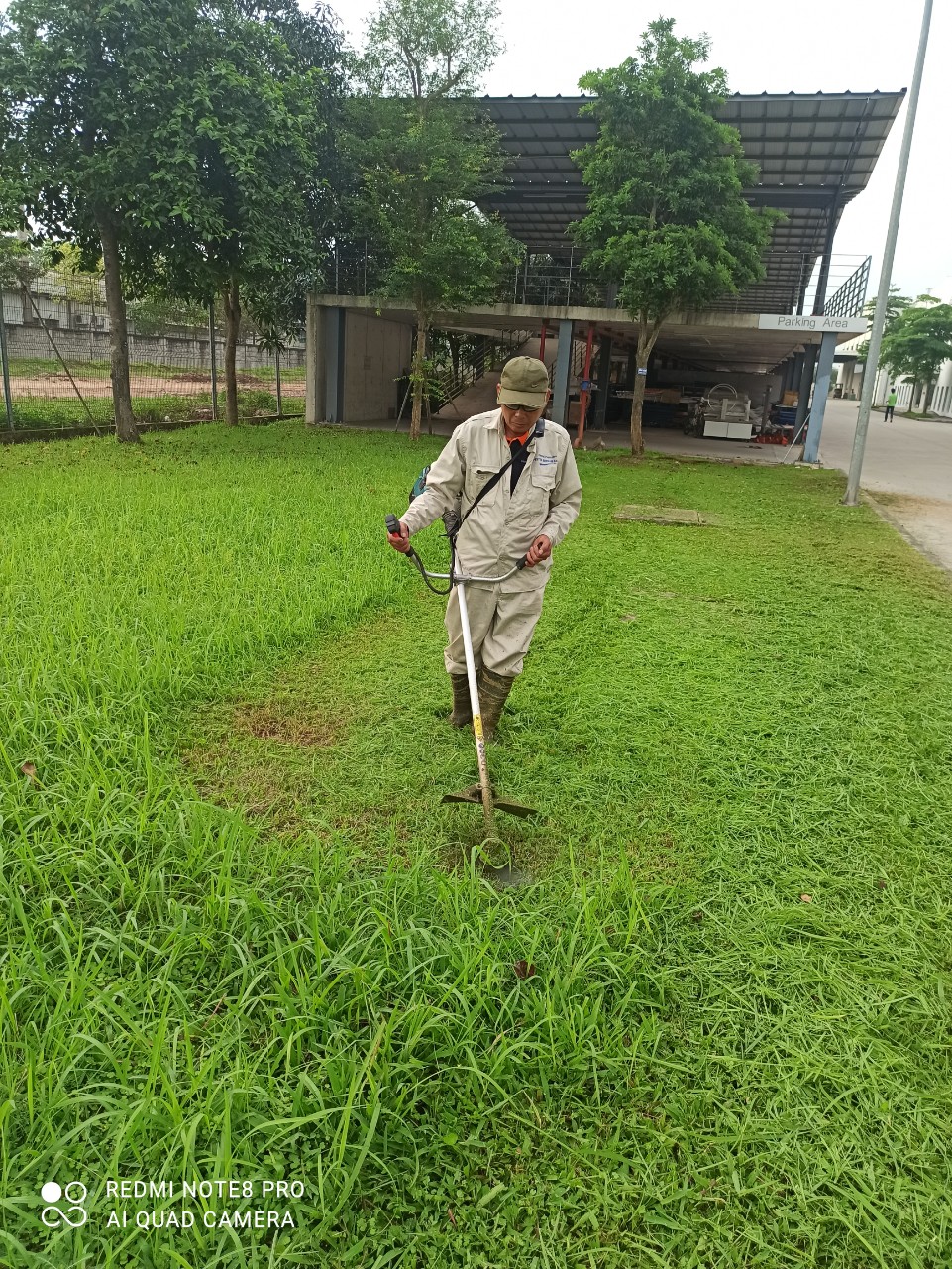Dịch vụ cắt cỏ chuyên nghiệp: giữ gìn môi trường xanh tươi đẹp