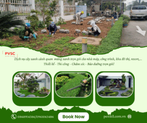 Dịch vụ chăm sóc cảnh quan sân vườn
