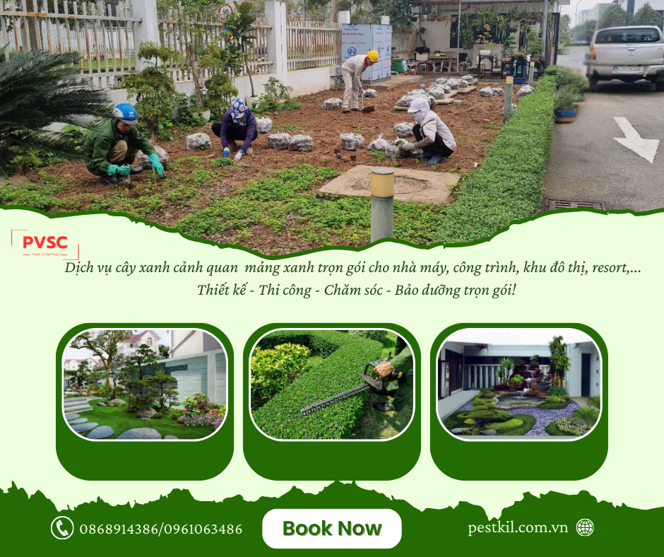 Dịch vụ chăm sóc cảnh quan sân vườn
