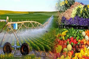 Ứng Dụng Công Nghệ Xanh Vào Nông Nghiệp: Giải Pháp Bền Vững Cho Tương Lai