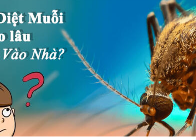 Đảm Bảo An Toàn Sức Khỏe Sau Khi Phun Thuốc Muỗi