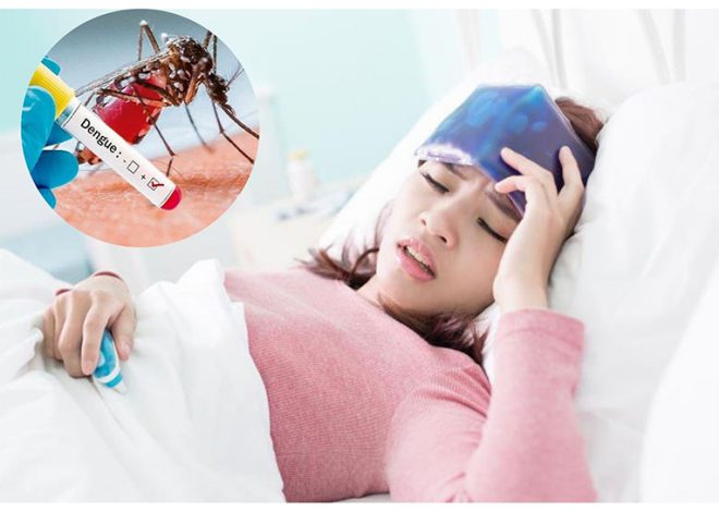VPSC – Chìa khóa an toàn cho mùa hè: Dịch vụ phun diệt muỗi sốt xuất huyết tại Hà Nội”