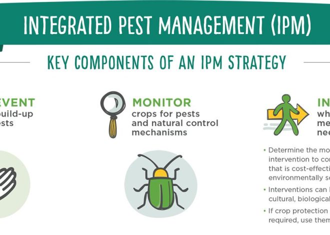 Chương trình kiểm soát dịch hại tổng hợp (Integrated Pest Management – IPM) của Pestkil Vietnam Service Company (PVSC)