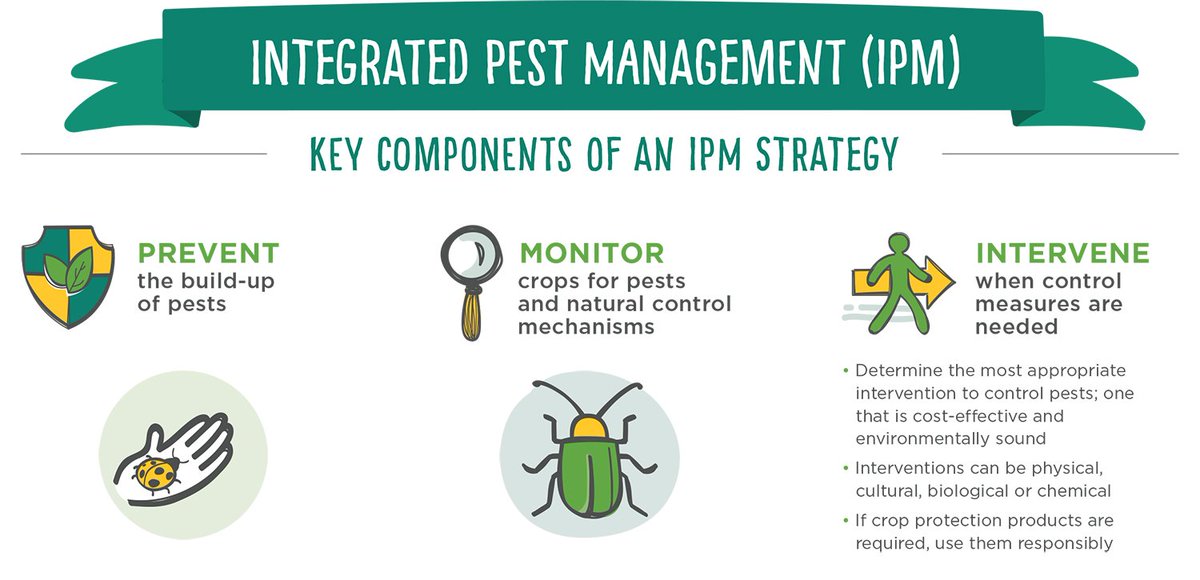 Chương trình kiểm soát dịch hại tổng hợp (Integrated Pest Management – IPM) của Pestkil Vietnam Service Company (PVSC)