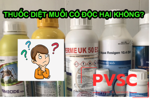 Thuốc diệt muỗi có độc không? Tại sao cần phải sử dụng dịch vụ phun diệt muỗi chuyên nghiệp