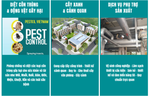 GIẢI PHÁP TOÀN DIỆN TỪ PESTKIL VIỆT NAM