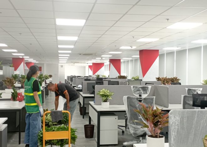 Thay đổi không gian làm việc với cây cảnh và dịch vụ cho thuê cây văn phòng của Pestkil Việt Nam