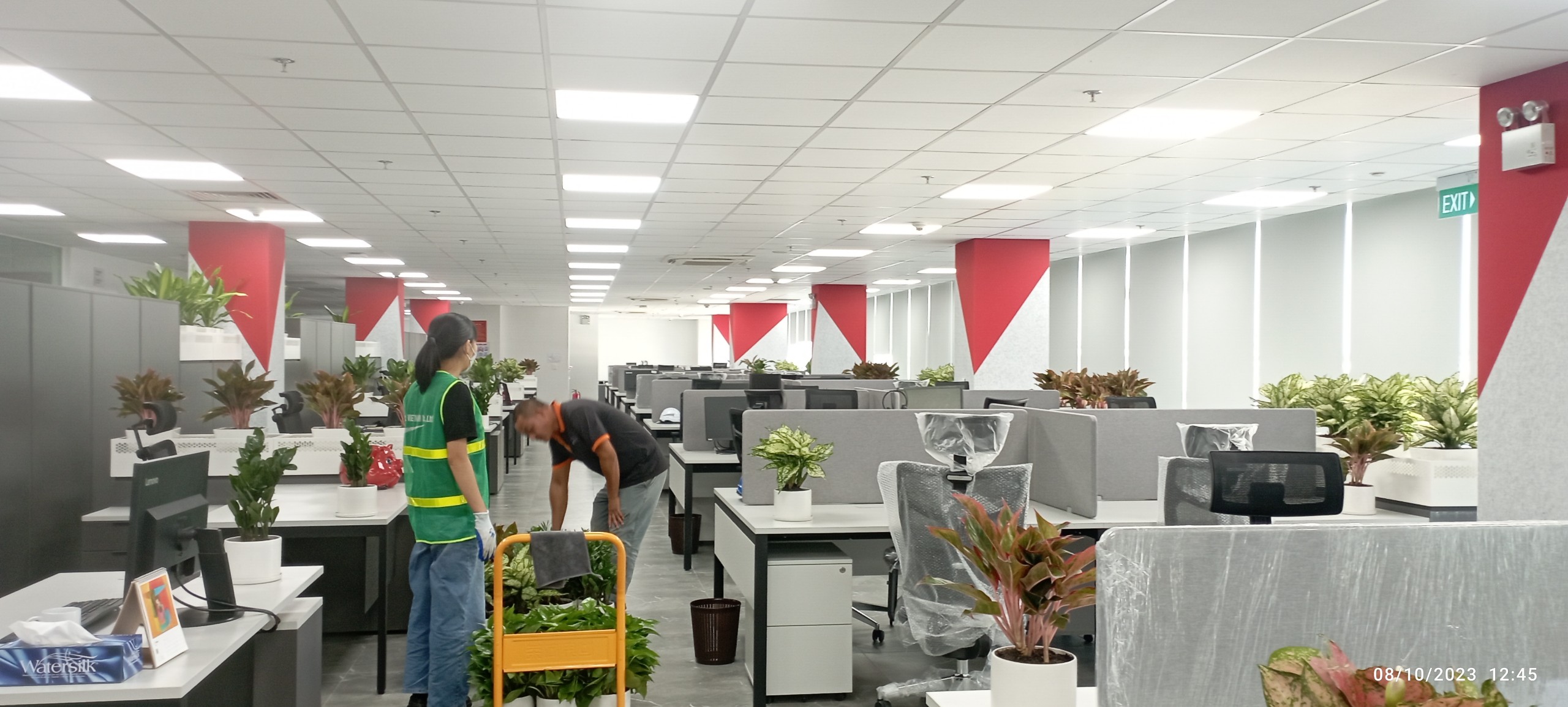 Thay đổi không gian làm việc với cây cảnh và dịch vụ cho thuê cây văn phòng của Pestkil Việt Nam
