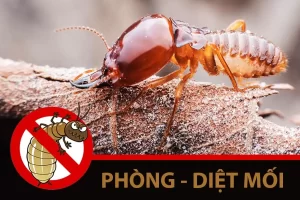 NHỮNG DẤU HIỆU NHẬN BIẾT MỐI TẤN CÔNG