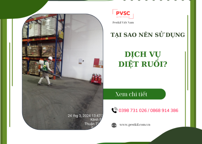 Quy trình và phương pháp dịch vụ diệt ruồi