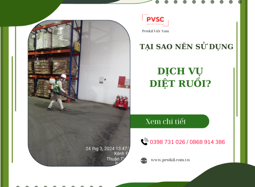 Quy trình và phương pháp dịch vụ diệt ruồi