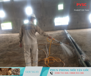 Dịch vụ phun phòng chống mối cho công trình xây mới