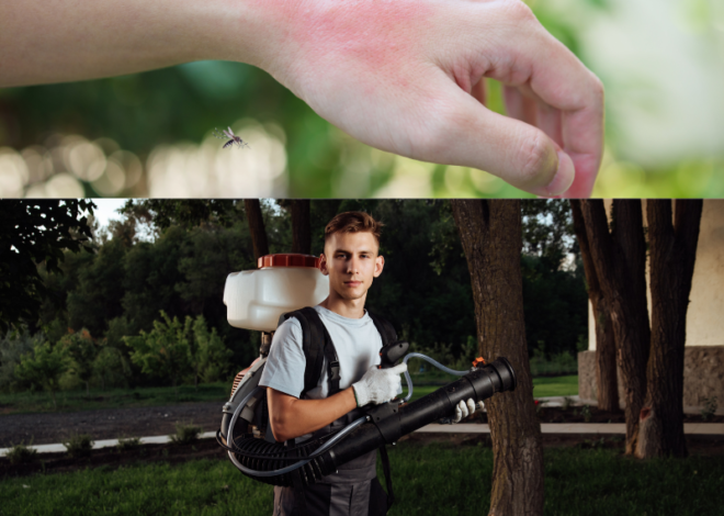 10 cách đuổi muỗi, diệt muỗi trong sân vườn hiệu quả