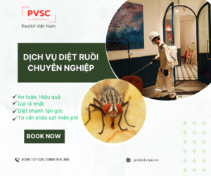 Đơn vị cung cấp dịch vụ diệt ruồi uy tín tại Hà Nội- PVSC