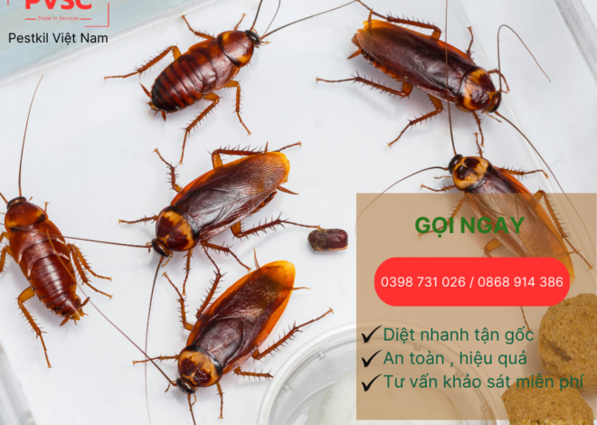 Những rủi do khi không diệt gián cho nhà hàng