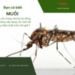 Muỗi – Côn trùng gây nguy hiểm không ngờ cho con người