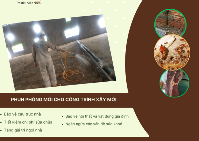 Tại sao phải phòng mối mọt cho công trình xây mới?