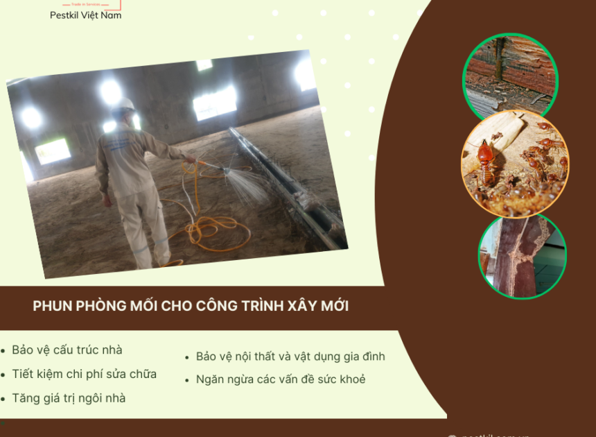 Mẫu hợp đồng chống mối công trình mới nhất