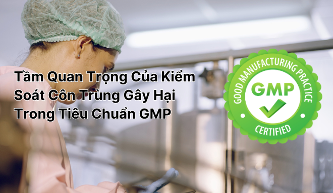 Kiểm soát côn trùng gây hại trong tiêu chuẩn GMP