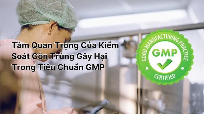 Kiểm soát côn trùng gây hại trong tiêu chuẩn GMP