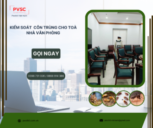 Tiết kiệm chi phí với dịch vụ diệt mối chuyên nghiệp từ PVSC