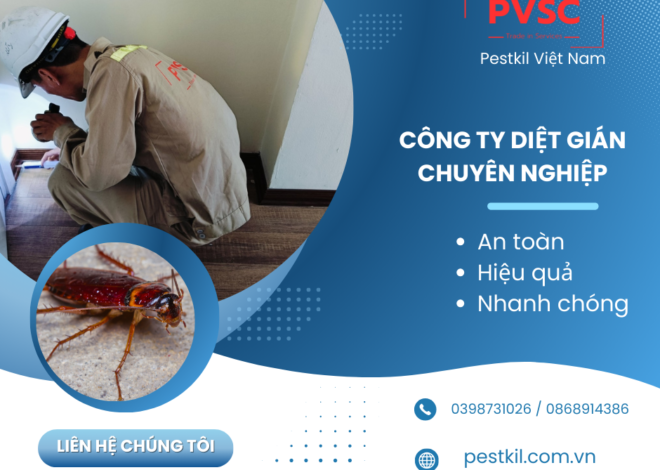 Dịch vụ diệt gián – Công ty diệt gián uy tín PVSC