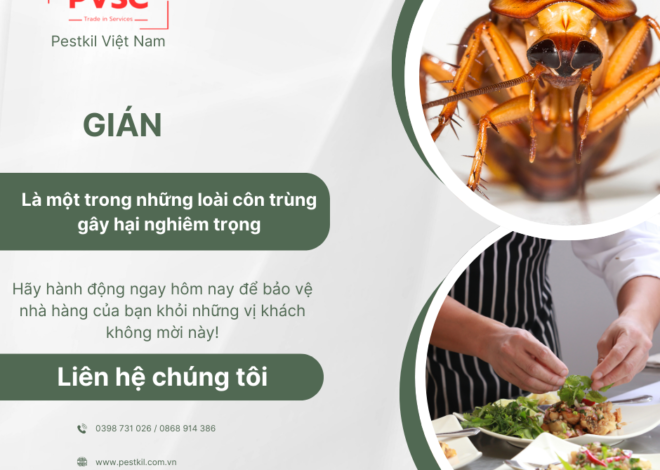 Dịch vụ diệt gián trung tâm thương mại – Giữ không gian sạch đẹp