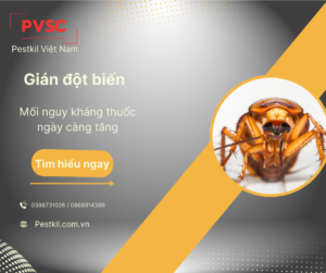 Gián đột biến – Nguy cơ kháng thuốc: nguyên nhân do đâu?