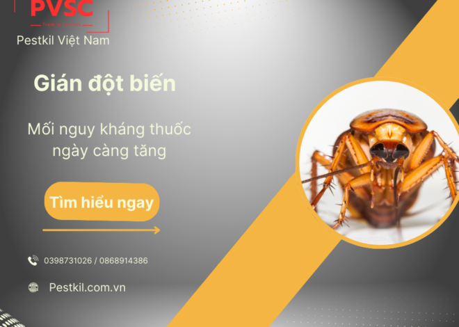 Gián đột biến – Nguy cơ kháng thuốc: nguyên nhân do đâu?