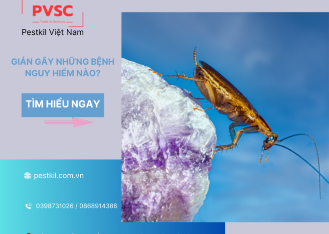 Gián gây ra những bệnh nguy hiểm nào? tìm hiểu ngay