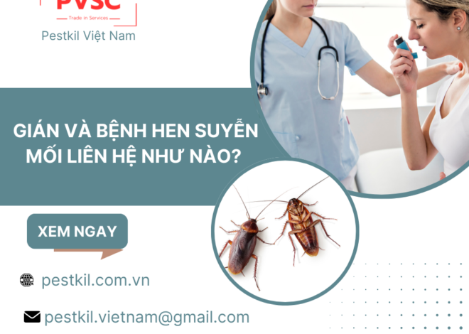 Gián và bệnh hen suyễn mối liên hệ như nào? những điều cần biết