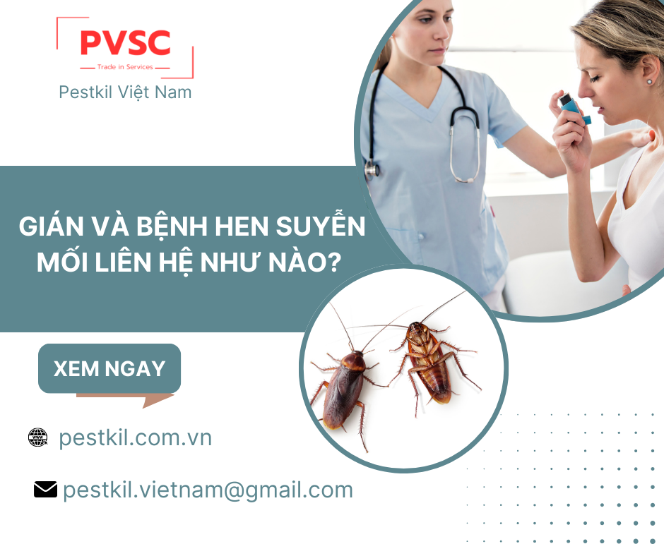 Gián và bệnh hen suyễn mối liên hệ như nào? những điều cần biết