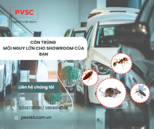 Kiểm soát côn trùng tổng hợp cho showroom có cần thiết không?