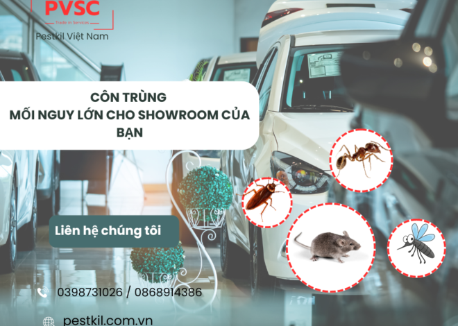 Kiểm soát côn trùng tổng hợp cho showroom có cần thiết không?