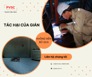 Tác hại của gián: không nên bỏ qua