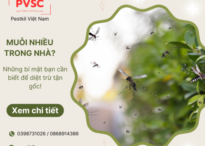 Tại sao nhà nhiều muỗi và cách đuổi muỗi hiệu quả