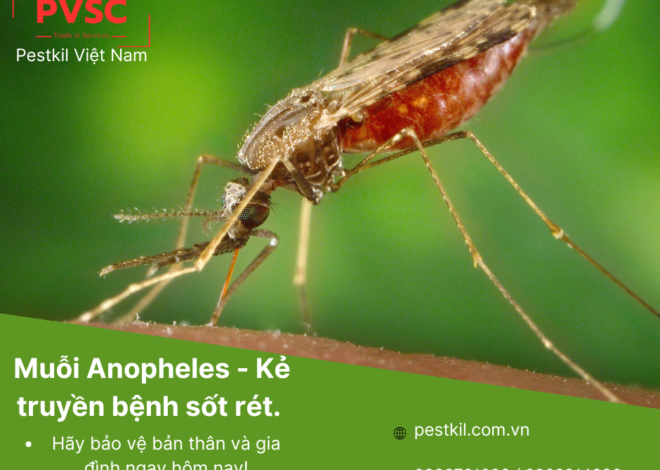Bệnh sốt rét do loài muỗi nào truyền?