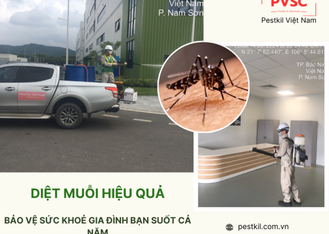 Công ty diệt muỗi hàng đầu – Đội ngũ chuyên gia tận tâm