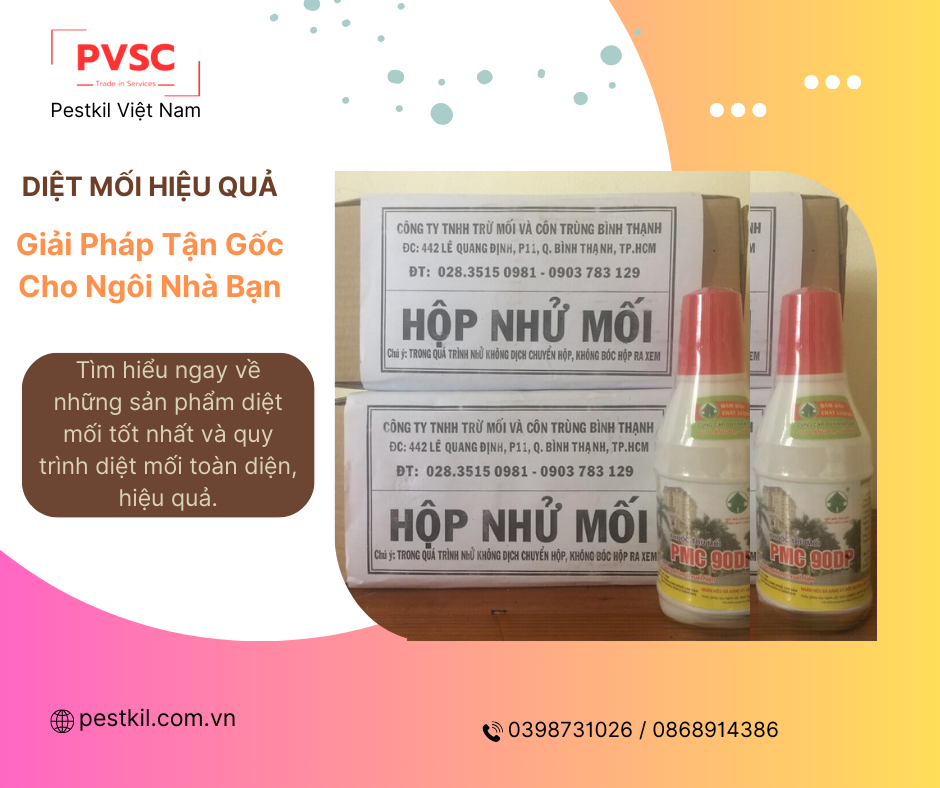 Top 4 sản phẩm diệt mối hiệu quả và quy trình diệt mối tận gốc