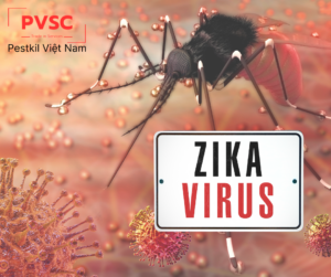 Những Điều Cần Biết Về Virus Zika Và Cách Phòng Tránh