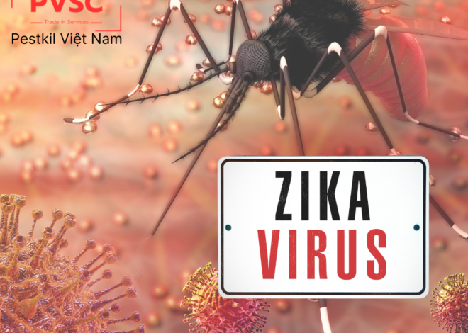 Những Điều Cần Biết Về Virus Zika Và Cách Phòng Tránh