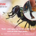 Nguy cơ từ ruồi trong nhà hàng, quán ăn – Giải pháp diệt tận gốc