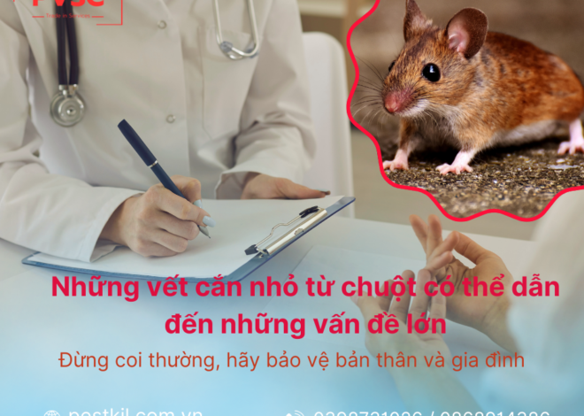 Cảnh Báo: Nguy Cơ Lây Bệnh Qua Chuột Cắn