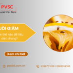 Ruồi giấm là gì? cách diệt ruồi giấm hiệu quả