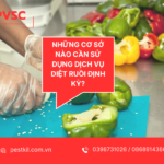 Những cơ sở nào nên sử dụng dịch vụ diệt ruồi chuyên nghiệp?