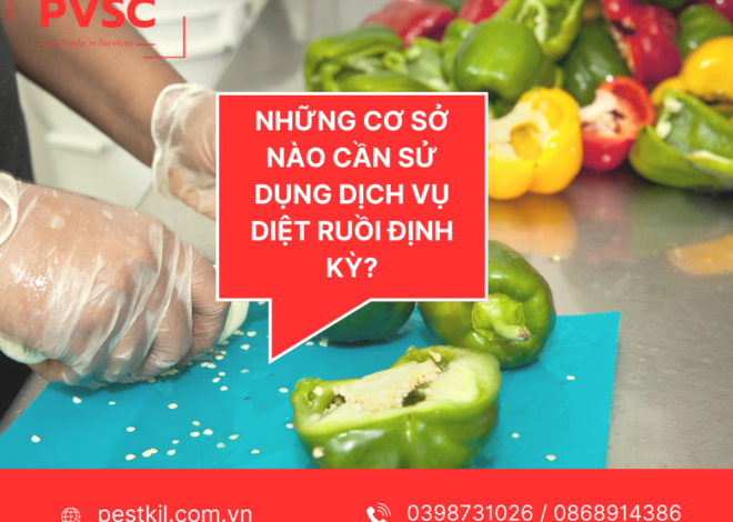 Những cơ sở nào cần sử dụng dịch vụ diệt ruồi chuyên nghiệp?