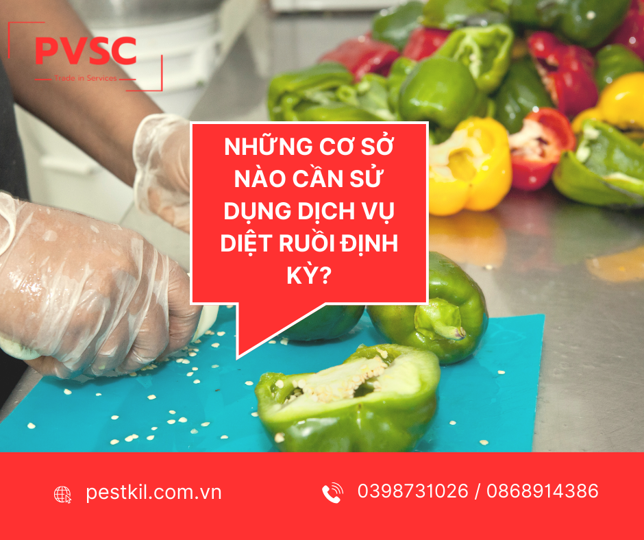 Những cơ sở nào cần sử dụng dịch vụ diệt ruồi chuyên nghiệp?