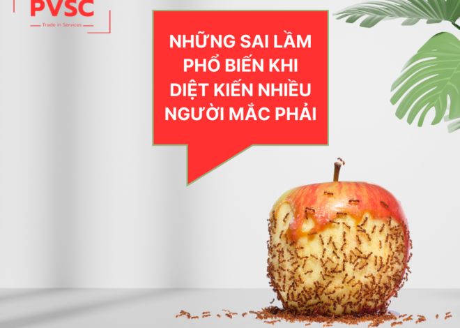 Những sai lầm phổ biến khi diệt kiến mà nhiều người mắc phải