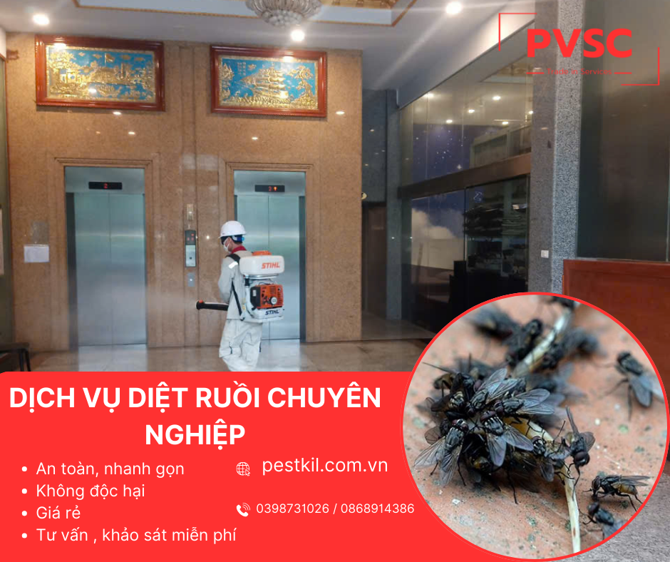 Dịch vụ diệt ruồi uy tín, hiệu quả từ PVSC