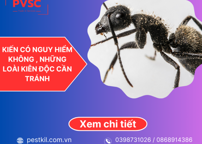 Kiến có nguy hiểm không , Những loài kiến có hại cần tránh